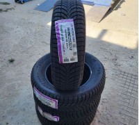 Nexen Winguard Snow G WH2 195/65 R15 91H